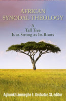 African Synodal Theology-9781626986442