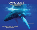 Whales, Library Edition Hardcover : The Complete Guide for Beginners-9781627165723