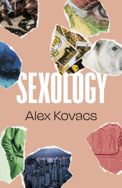 Sexology-9781628975024