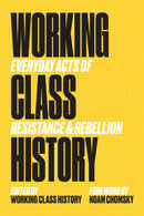 Working Class History : Everyday Acts of Resistance and Rebellion-9781629638232