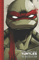 Teenage Mutant Ninja Turtles: The IDW Collection Volume 1-9781631401114