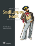Domain-Specific Small Language Models