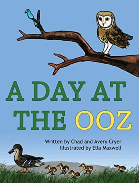 A Day at the OOZ-9781634320399