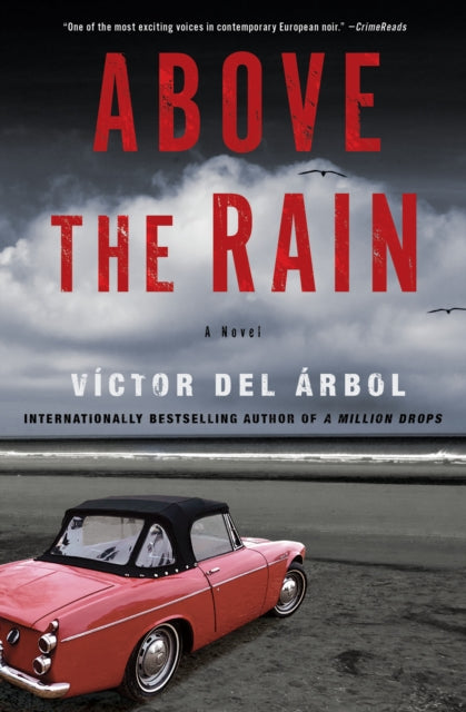 Above The Rain : A Novel-9781635429954