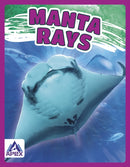 Manta Rays-9781637380420