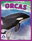 Orcas-9781637380444