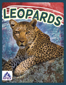 Leopards-9781637380673