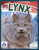 Lynx-9781637380697