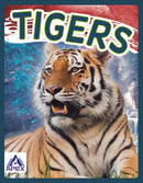 Tigers-9781637380710