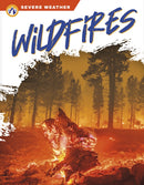 Wildfires-9781637383063
