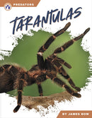 Tarantulas-9781637388204