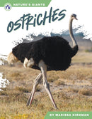 Ostriches-9781637389805