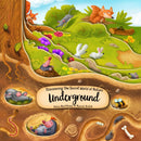 Discovering the Secret World of Nature Underground-9781641241182