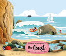 Exploring the Amazing World of the Coast