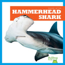 Hammerhead Shark