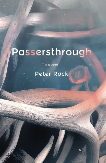 Passersthrough-9781641293433