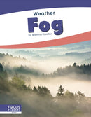 Fog-9781641858588