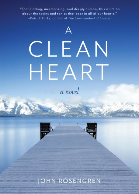 A Clean Heart : A Novel (Alcoholism, Dysfunctional Family, Recovery, Redemption, 12-Steps)-9781642501926