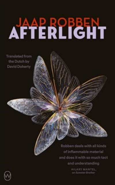 Afterlight-9781642861471