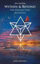Within and Beyond : The Connection-9781643454603