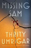 Missing Sam : A Novel-9781643757629