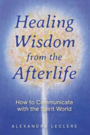 Healing Wisdom from the Afterlife : How to Communicate with the Spirit World-9781644118900