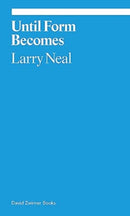 Any Day Now: Toward a Black Aesthetic-9781644231203