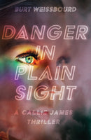 Danger in Plain Sight-9781644284827