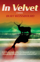 In Velvet : A Novel-9781644285190