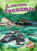 Tsunamis-9781644870280