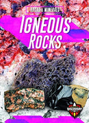 Igneous Rocks-9781644870754