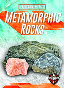 Metamorphic Rocks-9781644870761