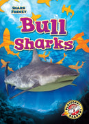 Bull Sharks-9781644874387