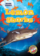 Lemon Sharks-9781644874394