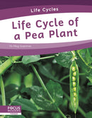 Life Cycle of a Pea Plant-9781644938751