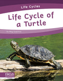 Life Cycle of a Turtle-9781644938799