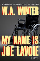 My Name Is Joe Lavoie-9781645060536