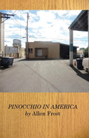Pinocchio in America-9781645169871