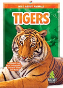 Tigers-9781645190103