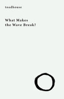 What Makes the Wave Break?-9781645250203