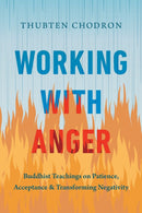 Working with Anger : Buddhist Teachings on Patience, Acceptance, and Transforming Negativity-9781645472889