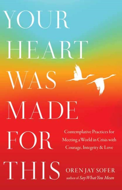 Your Heart Was Made for This : Contemplative Practices for Meeting a World in Crisis with Courage, Integrity, and Love-9781645473893