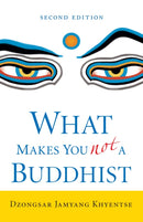 What Makes You Not a Buddhist-9781645474234