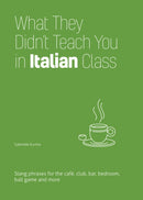 What They Didn't Teach You In Italian Class-9781646043965