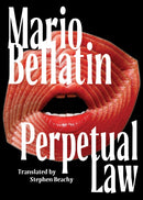 Perpetual Law-9781646053384