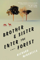 Brother & Sister Enter The Forest : A Novel-9781646221172