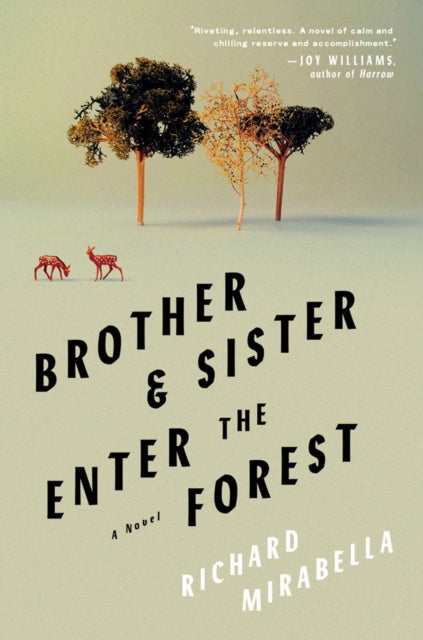 Brother & Sister Enter The Forest : A Novel-9781646221172