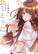 Chasing After Aoi Koshiba 2-9781646511884