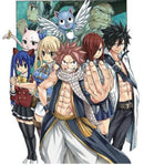 FAIRY TAIL: 100 Years Quest 8-9781646512331