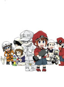 Cells at Work! Baby 3-9781646512416